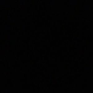 Meet your Posher, Nina